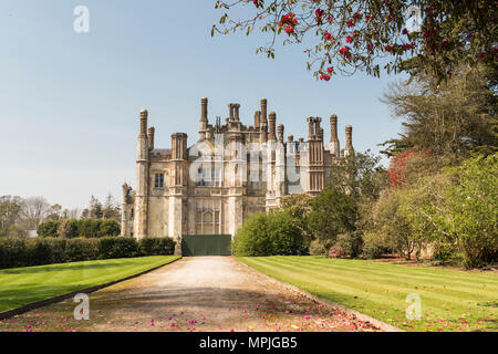 Offener Garten Charity Event am Tregothnan Immobilien, Cornwall, Großbritannien Stockfoto