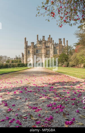 Offener Garten Charity Event am Tregothnan Immobilien, Cornwall, Großbritannien Stockfoto