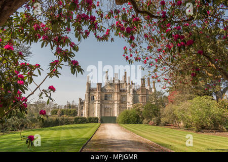 Offener Garten Charity Event am Tregothnan Immobilien, Cornwall, Großbritannien Stockfoto