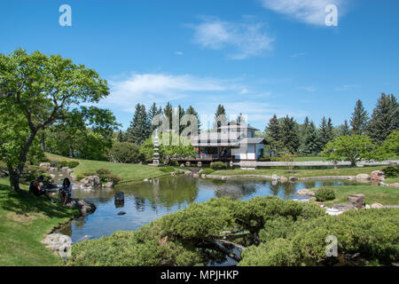 Die pittoresken Nikka Yuko Japanischen Garten in Lethbridge, Alberta, eröffnet im Jahr 1967. Alle Komponenten wurden in Kyoto, Japan gebaut und in der gar wieder zusammengebaut Stockfoto