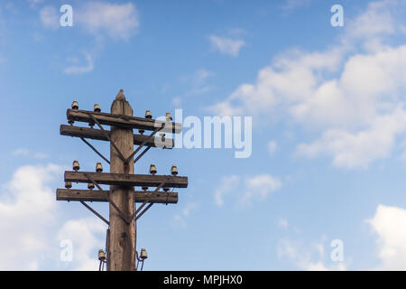 Ein vogel taube sitzt auf einem alten hölzernen elektrische Pole mit einer Menge Stecker Stockfoto
