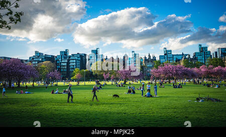 Der Wiesen-Edinburgh Stockfoto
