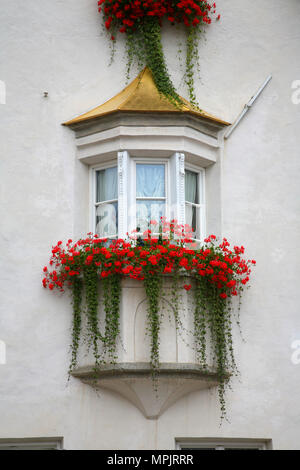 Fenster in Südtirol - Italien Stockfoto