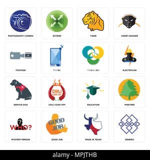 16 Einfache editierbare Ikonen wie generische, in Texas gemacht, guter Job, Mystery person, pinetree, Fotografie Kamera, Filmmaterial, service Hund, triskeli Stock Vektor