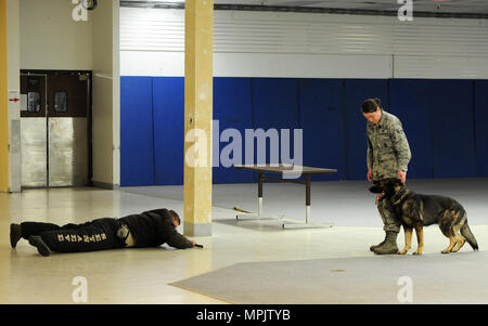 Senior Airman Amanda Puryear, 5 Security Forces Squadron Militär Hundeführer und Verweigern, MWD, Guard eine simulierte Angreifer während des Trainings am Minot Air Force Base, N.D., Jan. 23, 2017. MWDs werden ausgebildet, um Sicherheit für Militärstützpunkte und Personal zu gewährleisten. (U.S. Air Force Foto/Senior Airman Kristoffer Kaubisch) Stockfoto