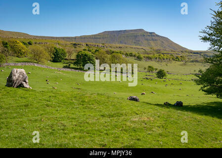 Ingleborough. Der zweithöchste Berg in den Yorkshire Dales. Es ist eine der Yorkshire Three Peaks Stockfoto