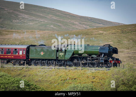 Ribblehead. Vereinigtes Königreich. 22. Mai. 2018. Der weltweit bekannteste Dampflokomotive, Flying Scotsman gesehen Überquerung des Ribblehead Viadukt schleppen, Da Stockfoto