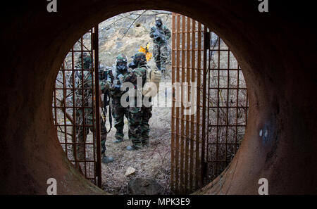 Mitglieder der CBRN-Recce Platoon, 54th Brigade Ingenieur Bataillon, 173Rd air Borne arbeiten mit dem Slowenischen CBRN-Dekontamination Einheit einer Höhle in der Nähe der simulierten Stadt Schwend während eines simulierten chemische biologische, radiologische und nukleare (CBRN) Kontamination während der Alliierten Geist VI bei Joint Multinational Readiness Center, Hohenfels, Deutschland, 21. März 2017 suchen. Allied Geist VI ist eine 7th Army Training Befehl, U.S. Army Europe - Regie multinationale Übung. (U.S. Armee Foto von Sgt. William Frye). Stockfoto