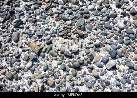Kieselsteine am Strand - Hornby Island, BC, Kanada. Stockfoto