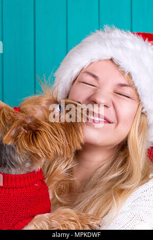 Schöne Mädchen in santa Kappe mit yorkie Hund im roten Pullover Stockfoto