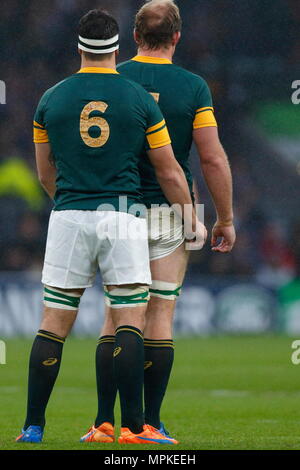 Francois Louw erhält einen Griff auf teamkollege Schalk Burger für die hohe Kugel während der IRB-RWC 2015 Ð Halbfinale 1 für Match 45, zwischen Südafrika V Neuseeland bei Twickenham Stadium. London, England. 25. Oktober 2015 --- Bild von: © Paul Cunningham Stockfoto