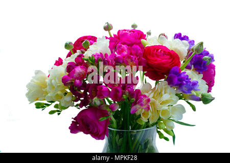 Freeseia frische Blumen Stockfoto