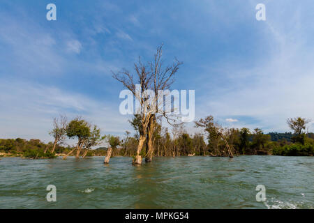 Seltenen irawaddy Delphine Bootsfahrt von Khongyai Strand auf Don Khone Insel im Süden von Laos. Landschaft vom Boot genommen auf vier tausend Inseln im Mekong Stockfoto