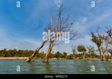 Seltenen irawaddy Delphine Bootsfahrt von Khongyai Strand auf Don Khone Insel im Süden von Laos. Landschaft vom Boot genommen auf vier tausend Inseln im Mekong Stockfoto