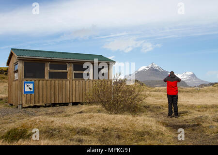 Vogelbeobachter und Holzverstecke, Vogelbeobachtung oder Vogelbeobachtung, Vogelbeobachter, Ferngläser, Ferngläser, Optiken, Stative auf der Halbinsel Bulandsnes ein Paradies für Vogelbeobachter in Djupivogur, Island. Das Heiligtum von Búlandsnes ist unter Vogelfreunden und Vogelbeobachtern auf der ganzen Welt bekannt. Stockfoto