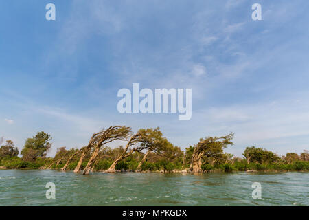 Seltenen irawaddy Delphine Bootsfahrt von Khongyai Strand auf Don Khone Insel im Süden von Laos. Landschaft vom Boot genommen auf vier tausend Inseln im Mekong Stockfoto