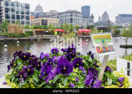 Montreal Kanada, Provinz Quebec, Internationales Flora Montreal Garden Festival, Festivals, Feier, Messe, botanisch, Blumen, Pflanzen, Canal de Lachi Stockfoto