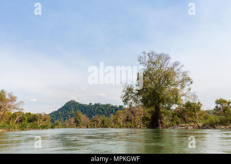 Seltenen irawaddy Delphine Bootsfahrt von Khongyai Strand auf Don Khone Insel im Süden von Laos. Landschaft vom Boot genommen auf vier tausend Inseln im Mekong Stockfoto