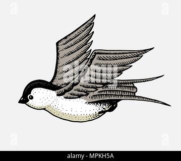 Wild Bird schlucken. Symbol der Freiheit. Mode Patch. Tattoo Artwork für Mädchen. Graviert Hand in alten Vintage Skizze gezeichnet. Vektor surrealen Illustration, Abzeichen, Drucken für t-shirt. Stock Vektor