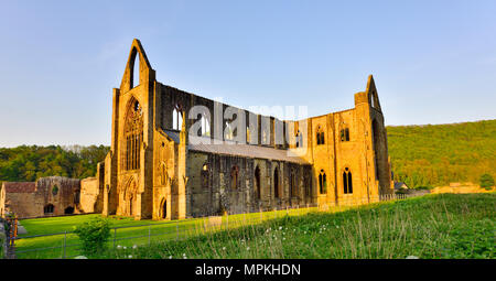 Tintern Abbey in Wye Valley, South Wales, Großbritannien Stockfoto