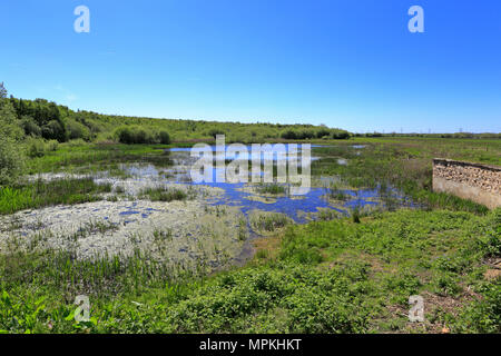 RSPB Reservat Fairburn Ings in der Nähe Castleford, West Yorkshire, England, UK. Stockfoto