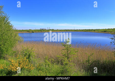 Eine Lagune bei RSPB Reservat Fairburn Ings und entfernten Ferrybridge Power Station in der Nähe Castleford, West Yorkshire, England, UK. Stockfoto