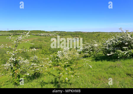 Aire Tal und RSPB Reservat Fairburn Ings in der Nähe Castleford, West Yorkshire, England, UK. Stockfoto