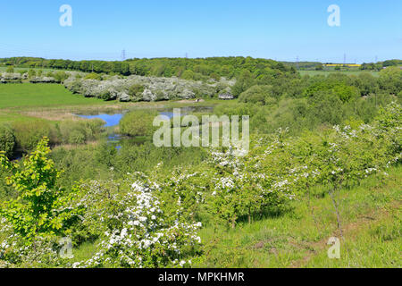 Aire Tal und RSPB Reservat Fairburn Ings in der Nähe Castleford, West Yorkshire, England, UK. Stockfoto