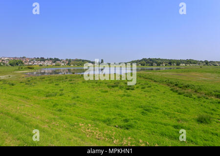 RSPB Reservat Wombwell Ings in Richtung Darfield Dorf in der Nähe von Barnsley, South Yorkshire, England, UK. Stockfoto