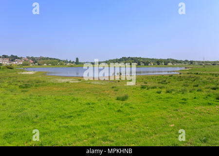 RSPB Reservat Wombwell Ings in Richtung Darfield Dorf in der Nähe von Barnsley, South Yorkshire, England, UK. Stockfoto