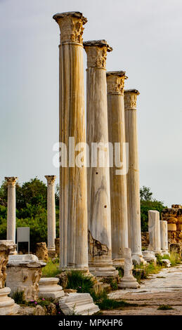 Ruinen von Spalten in antiken Salamis auf Zypern Stockfoto