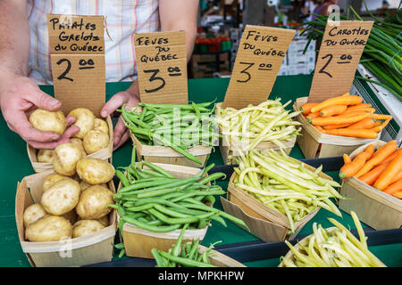 Montreal Kanada, Quebec Provinz, Little Italy, Avenue Casgrain, Jean Talon Public Market, produzieren, Verkäufer Händler Stände Stand Markt Markt, gre Stockfoto