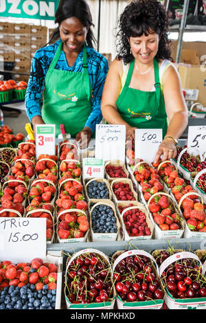 Montreal Kanada, Provinz Quebec, Little Italy, Avenue Casgrain, öffentlicher Markt von Jean Talon, Schwarze Schwarze Afrikaner, ethnische Minderheit der Afrikaner, Erwachsene Erwachsene Frau Stockfoto