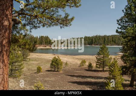 Cottonwood Meadow Lake in der Fremont National Forest, in der Nähe von Lakeview, Oregon Stockfoto