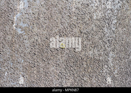 Alte Betonwand mit grauem Moos Textur Hintergrund. Alte moosigen Mauer mit grauen Flechten Oberflächenstruktur Stockfoto