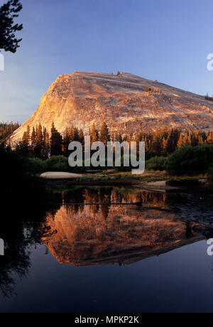 Lambert Dome Reflexion in Toulumne River, Yosemite National Park, Kalifornien Stockfoto