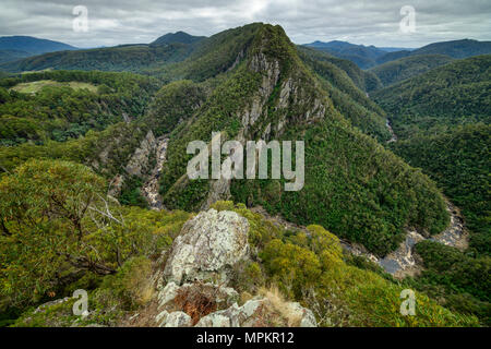 Ozeanien, Australien; Australien; Tasmanien; Leven Canyon Stockfoto