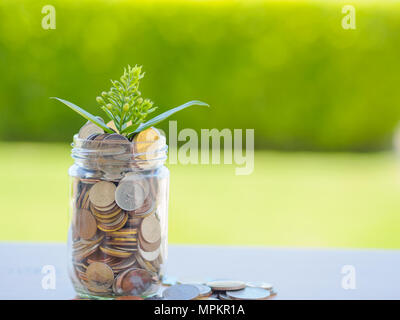 Pflanzen wachsen aus Münzen in Glas Glas auf dem grünen Rasen für Geld sparen Finanzkonzept Stockfoto