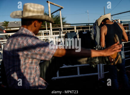 Rodeo Expogan 20 mayo 2018. (Foto: NortePhoto/Luis Gutierrez) Cowboys Sport, Reiten und Stier reiten, ein starkes Signal in Chihuahua, Sonora und Baja California Mex. und den benachbarten Staaten der Vereinigten Staaten gefolgt. Männer für die Herrlichkeit in nur 8 Sekunden, um die ersten Plätze des Rodeo in extremen Sporen. Das Rodeo ist eine traditionelle Amerikanische extreme Sport mit Einflüssen aus der Geschichte der spanischen Cowboys und mexikanischen Charros. Es besteht aus Reiten wilde Fohlen oder wildes Vieh (Wie lenkt und Bullen) und die Durchführung von verschiedenen Übungen, wie das Werfen der Lasso, rejonear, etc. Stockfoto