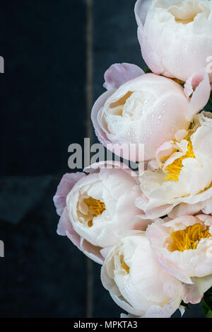 Schönen Blumenstrauß weiße Chinesischen Päonien mit Wassertropfen auf Marmor Hintergrund Stockfoto