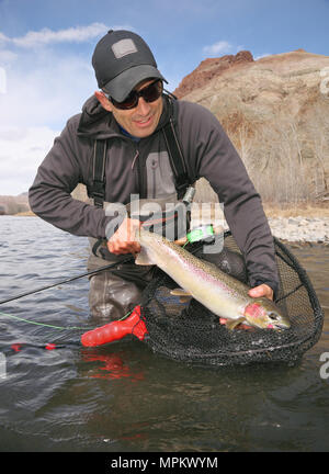 Erfolgreiche Fischer Holding steelhead Forellen am Salmon River in Idaho Stockfoto