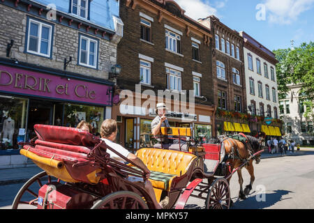 Quebec Kanada, Oberstadt, Rue de Buade, Pferdekutsche, Tour, historische Gebäude, Skyline der Stadt, Kanada070710036 Stockfoto