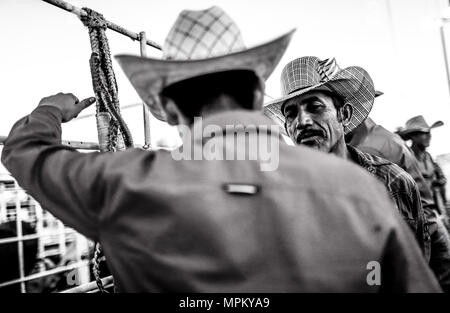 Rodeo Expogan 20 mayo 2018. (Foto: NortePhoto/Luis Gutierrez) Cowboys Sport, Reiten und Stier reiten, ein starkes Signal in Chihuahua, Sonora und Baja California Mex. und den benachbarten Staaten der Vereinigten Staaten gefolgt. Männer für die Herrlichkeit in nur 8 Sekunden, um die ersten Plätze des Rodeo in extremen Sporen. Das Rodeo ist eine traditionelle Amerikanische extreme Sport mit Einflüssen aus der Geschichte der spanischen Cowboys und mexikanischen Charros. Es besteht aus Reiten wilde Fohlen oder wildes Vieh (Wie lenkt und Bullen) und die Durchführung von verschiedenen Übungen, wie das Werfen der Lasso, rejonear, etc. Stockfoto