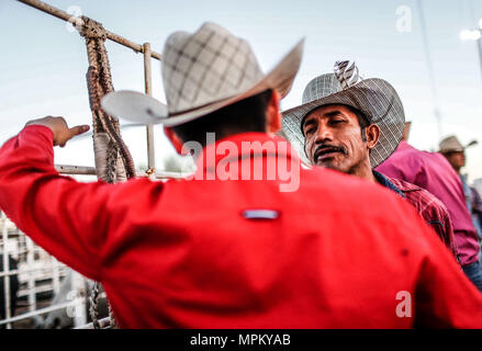 Rodeo Expogan 20 mayo 2018. (Foto: NortePhoto/Luis Gutierrez) Cowboys Sport, Reiten und Stier reiten, ein starkes Signal in Chihuahua, Sonora und Baja California Mex. und den benachbarten Staaten der Vereinigten Staaten gefolgt. Männer für die Herrlichkeit in nur 8 Sekunden, um die ersten Plätze des Rodeo in extremen Sporen. Das Rodeo ist eine traditionelle Amerikanische extreme Sport mit Einflüssen aus der Geschichte der spanischen Cowboys und mexikanischen Charros. Es besteht aus Reiten wilde Fohlen oder wildes Vieh (Wie lenkt und Bullen) und die Durchführung von verschiedenen Übungen, wie das Werfen der Lasso, rejonear, etc. Stockfoto