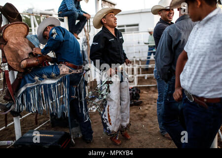 Rodeo Expogan 20 mayo 2018. (Foto: NortePhoto/Luis Gutierrez) Cowboys Sport, Reiten und Stier reiten, ein starkes Signal in Chihuahua, Sonora und Baja California Mex. und den benachbarten Staaten der Vereinigten Staaten gefolgt. Männer für die Herrlichkeit in nur 8 Sekunden, um die ersten Plätze des Rodeo in extremen Sporen. Das Rodeo ist eine traditionelle Amerikanische extreme Sport mit Einflüssen aus der Geschichte der spanischen Cowboys und mexikanischen Charros. Es besteht aus Reiten wilde Fohlen oder wildes Vieh (Wie lenkt und Bullen) und die Durchführung von verschiedenen Übungen, wie das Werfen der Lasso, rejonear, etc. Stockfoto