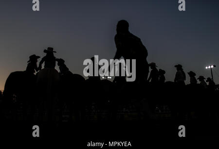 Rodeo Expogan 20 mayo 2018. (Foto: NortePhoto/Luis Gutierrez) Cowboys Sport, Reiten und Stier reiten, ein starkes Signal in Chihuahua, Sonora und Baja California Mex. und den benachbarten Staaten der Vereinigten Staaten gefolgt. Männer für die Herrlichkeit in nur 8 Sekunden, um die ersten Plätze des Rodeo in extremen Sporen. Das Rodeo ist eine traditionelle Amerikanische extreme Sport mit Einflüssen aus der Geschichte der spanischen Cowboys und mexikanischen Charros. Es besteht aus Reiten wilde Fohlen oder wildes Vieh (Wie lenkt und Bullen) und die Durchführung von verschiedenen Übungen, wie das Werfen der Lasso, rejonear, etc. Stockfoto