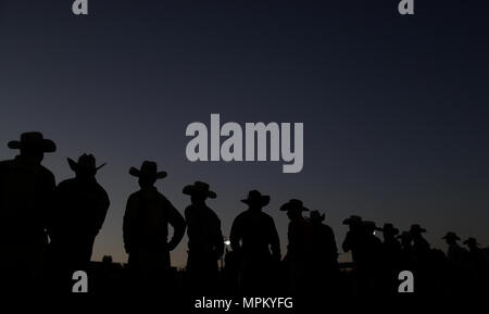 Rodeo Expogan 20 mayo 2018. (Foto: NortePhoto/Luis Gutierrez) Cowboys Sport, Reiten und Stier reiten, ein starkes Signal in Chihuahua, Sonora und Baja California Mex. und den benachbarten Staaten der Vereinigten Staaten gefolgt. Männer für die Herrlichkeit in nur 8 Sekunden, um die ersten Plätze des Rodeo in extremen Sporen. Das Rodeo ist eine traditionelle Amerikanische extreme Sport mit Einflüssen aus der Geschichte der spanischen Cowboys und mexikanischen Charros. Es besteht aus Reiten wilde Fohlen oder wildes Vieh (Wie lenkt und Bullen) und die Durchführung von verschiedenen Übungen, wie das Werfen der Lasso, rejonear, etc. Stockfoto