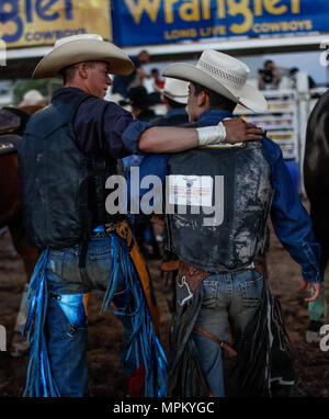 Rodeo Expogan 20 mayo 2018. (Foto: NortePhoto/Luis Gutierrez) Cowboys Sport, Reiten und Stier reiten, ein starkes Signal in Chihuahua, Sonora und Baja California Mex. und den benachbarten Staaten der Vereinigten Staaten gefolgt. Männer für die Herrlichkeit in nur 8 Sekunden, um die ersten Plätze des Rodeo in extremen Sporen. Das Rodeo ist eine traditionelle Amerikanische extreme Sport mit Einflüssen aus der Geschichte der spanischen Cowboys und mexikanischen Charros. Es besteht aus Reiten wilde Fohlen oder wildes Vieh (Wie lenkt und Bullen) und die Durchführung von verschiedenen Übungen, wie das Werfen der Lasso, rejonear, etc. Stockfoto