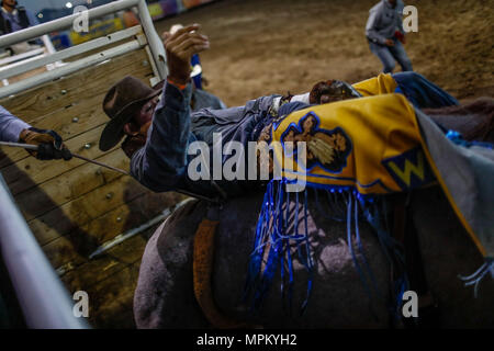 Rodeo Expogan 20 mayo 2018. (Foto: NortePhoto/Luis Gutierrez) Cowboys Sport, Reiten und Stier reiten, ein starkes Signal in Chihuahua, Sonora und Baja California Mex. und den benachbarten Staaten der Vereinigten Staaten gefolgt. Männer für die Herrlichkeit in nur 8 Sekunden, um die ersten Plätze des Rodeo in extremen Sporen. Das Rodeo ist eine traditionelle Amerikanische extreme Sport mit Einflüssen aus der Geschichte der spanischen Cowboys und mexikanischen Charros. Es besteht aus Reiten wilde Fohlen oder wildes Vieh (Wie lenkt und Bullen) und die Durchführung von verschiedenen Übungen, wie das Werfen der Lasso, rejonear, etc. Stockfoto