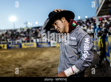 Rodeo Expogan 20 mayo 2018. (Foto: NortePhoto/Luis Gutierrez) Cowboys Sport, Reiten und Stier reiten, ein starkes Signal in Chihuahua, Sonora und Baja California Mex. und den benachbarten Staaten der Vereinigten Staaten gefolgt. Männer für die Herrlichkeit in nur 8 Sekunden, um die ersten Plätze des Rodeo in extremen Sporen. Das Rodeo ist eine traditionelle Amerikanische extreme Sport mit Einflüssen aus der Geschichte der spanischen Cowboys und mexikanischen Charros. Es besteht aus Reiten wilde Fohlen oder wildes Vieh (Wie lenkt und Bullen) und die Durchführung von verschiedenen Übungen, wie das Werfen der Lasso, rejonear, etc. Stockfoto